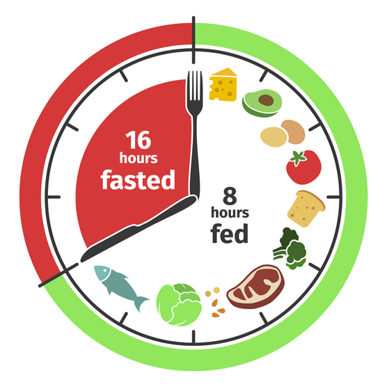 16：8の時間制限断続的断食計画