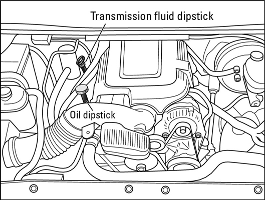 車両のオイルレベルを確認する方法