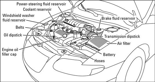 車両のクーラント/不凍液を確認する方法