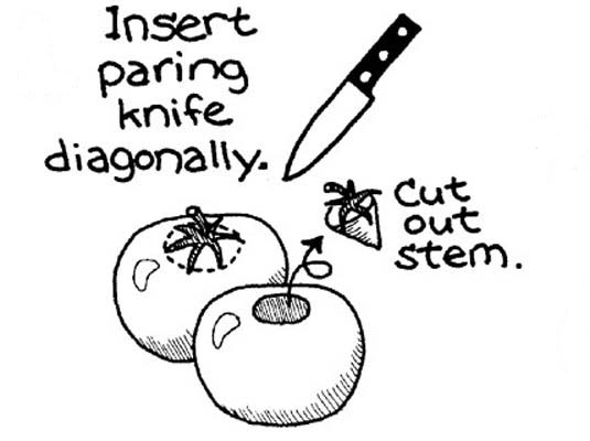 フレッシュトマトの皮むき、播種、切り刻み