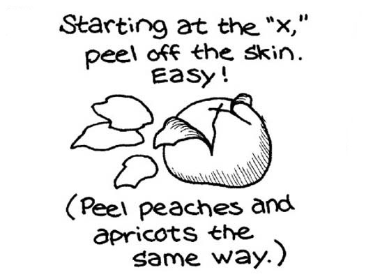 フレッシュトマトの皮むき、播種、切り刻み