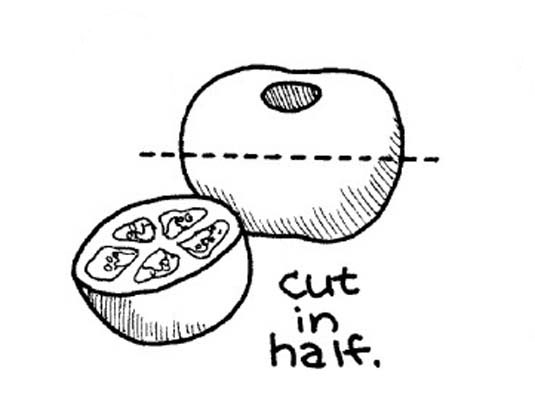 フレッシュトマトの皮むき、播種、切り刻み