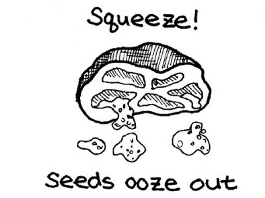 フレッシュトマトの皮むき、播種、切り刻み