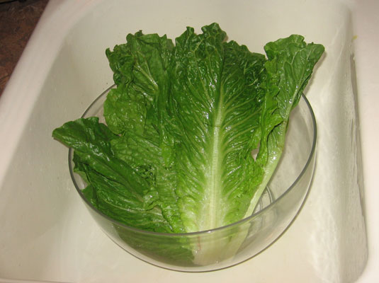 新鮮な野菜を洗って保存する方法