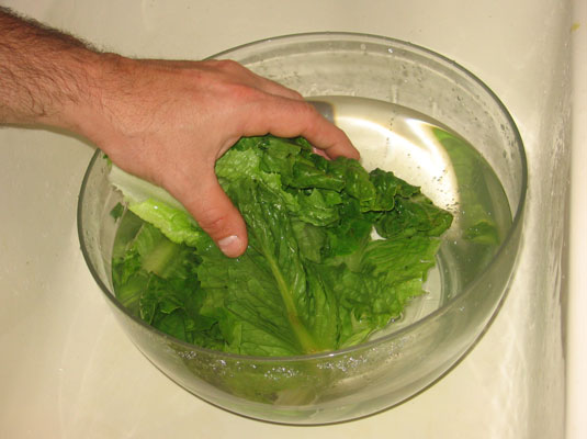 新鮮な野菜を洗って保存する方法