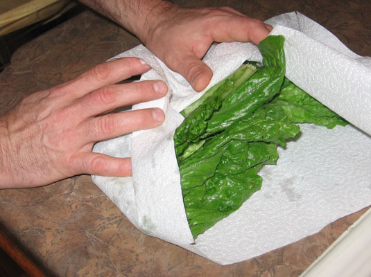 新鮮な野菜を洗って保存する方法