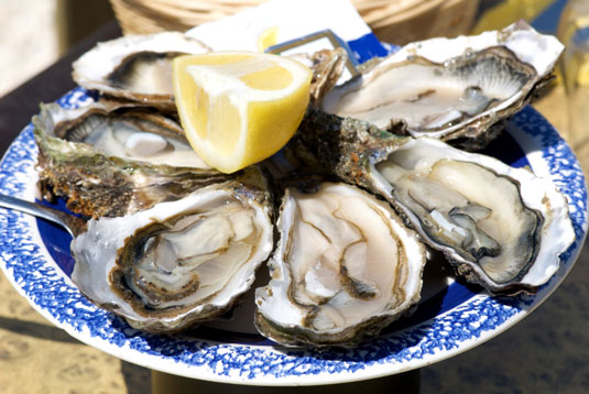 地中海式食事の中心となる5種類の海洋生物
