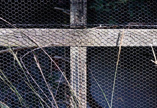 既存の構造を鶏小屋に変更する方法