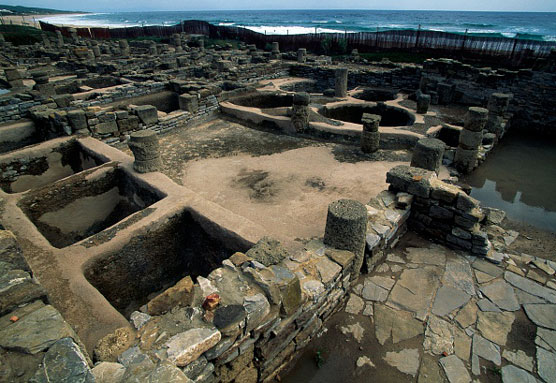 シャルキュトリースパイスの選び方