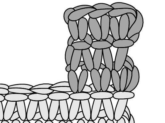 ボタンホールをかぎ針編みする方法