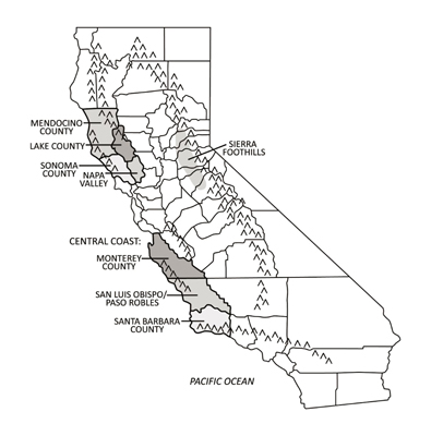 カリフォルニアのワイン産地を見る