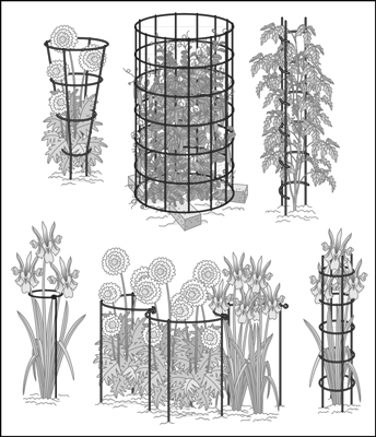 ステークまたはリングで多年草をサポートする方法