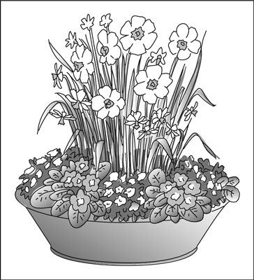 早春のコンテナガーデンを植える