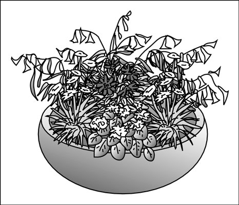 香りのよいコンテナガーデンを植える
