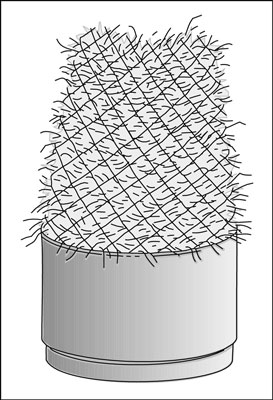 コンテナ多年生植物を越冬する方法