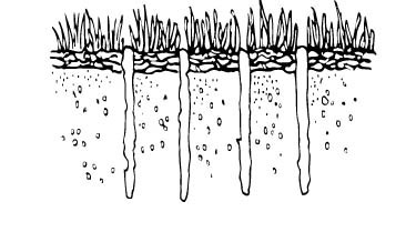 あなたの芝生を曝気する方法