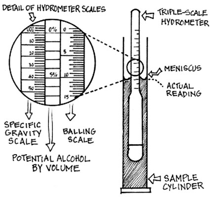自家醸造：あなた自身のビールを作る方法