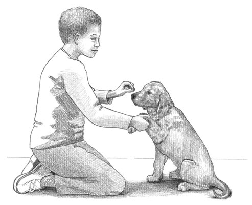 いくつかの基本的な子犬のトリックを教える方法