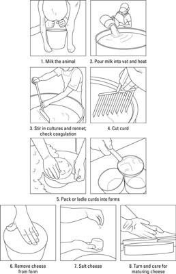 自分だけのチーズの作り方