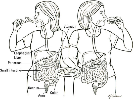 小麦を含まない：体が食物を処理する方法