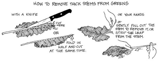 グリーンスムージーで健康的な一日のスタートを切りましょう