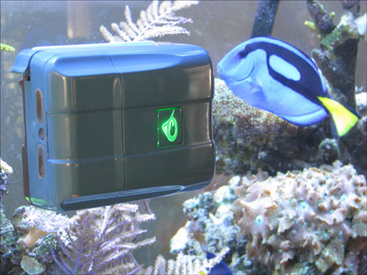 RoboSnailは水族館の掃除を自動化します